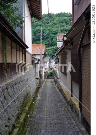 坂根屋小路（吉田の町並み：雲南市吉田町） 123503928