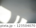 A soft interplay of light and shadow on a pale surface, creating a subtle abstract image that evokes tranquility and serenity. 123504070