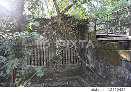 密林に眠る幻の寺院 ・ベンメリア,アンコール遺跡群/カンボジア 密林に眠る幻の寺院 ・ベンメリア,アンコール遺跡群/カンボジア 123504224