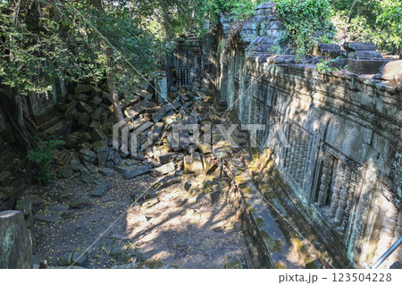 密林に眠る幻の寺院 ・ベンメリア，アンコール遺跡群／カンボジア 123504228