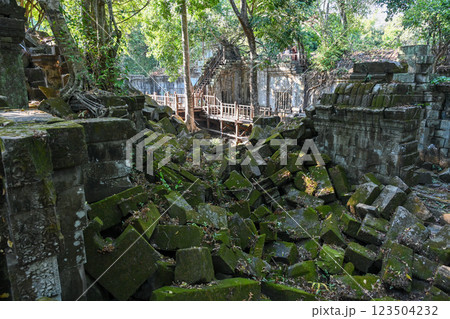 密林に眠る幻の寺院 ・ベンメリア，アンコール遺跡群／カンボジア 123504232