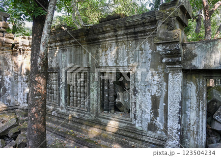 密林に眠る幻の寺院 ・ベンメリア，アンコール遺跡群／カンボジア 123504234