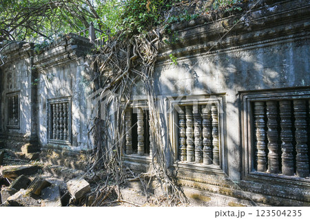 密林に眠る幻の寺院 ・ベンメリア，アンコール遺跡群／カンボジア 123504235