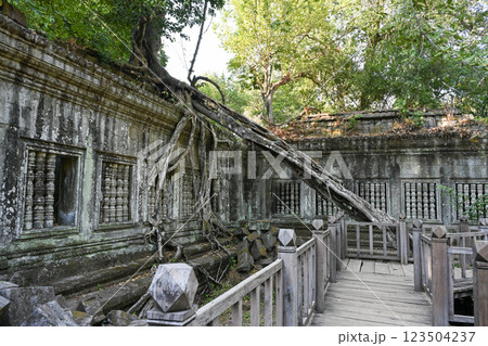 密林に眠る幻の寺院 ・ベンメリア，アンコール遺跡群／カンボジア 123504237