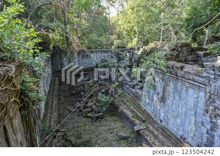 密林に眠る幻の寺院 ・ベンメリア，アンコール遺跡群／カンボジア 123504242