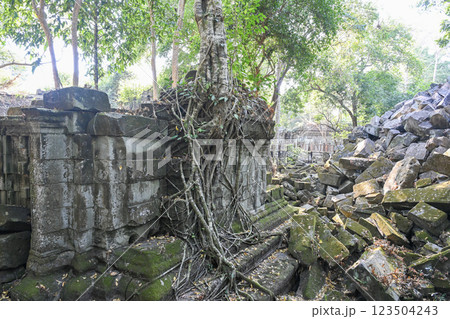 密林に眠る幻の寺院 ・ベンメリア，アンコール遺跡群／カンボジア 123504243