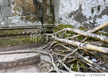 密林に眠る幻の寺院 ・ベンメリア,アンコール遺跡群/カンボジア 密林に眠る幻の寺院 ・ベンメリア,アンコール遺跡群/カンボジア 123504248