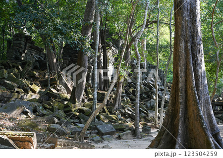 密林に眠る幻の寺院 ・ベンメリア,アンコール遺跡群/カンボジア 密林に眠る幻の寺院 ・ベンメリア,アンコール遺跡群/カンボジア 123504259