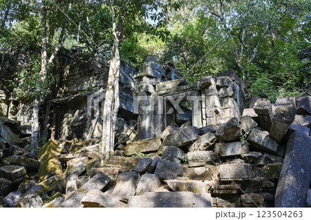 密林に眠る幻の寺院 ・ベンメリア，アンコール遺跡群／カンボジア 123504263