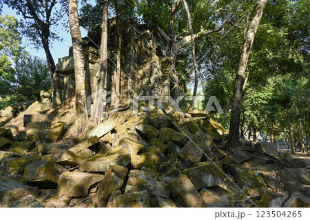 密林に眠る幻の寺院 ・ベンメリア，アンコール遺跡群／カンボジア 123504265