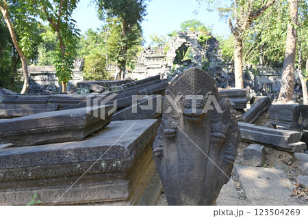 密林に眠る幻の寺院 ・ベンメリア,アンコール遺跡群/カンボジア 密林に眠る幻の寺院 ・ベンメリア,アンコール遺跡群/カンボジア 123504269