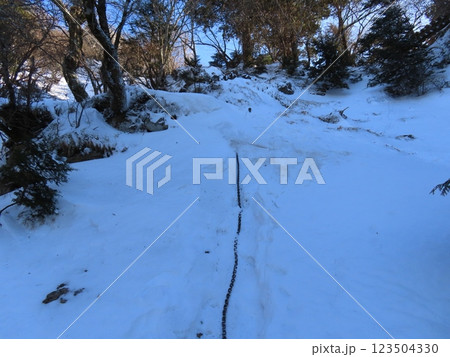 厳冬期の山上ヶ岳(登山道にある雪に包まれた鎖場) 123504330