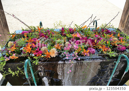 埼玉県東松山市箭弓町　国の重要文化財　箭弓稲荷神社の花手水舎 123504350