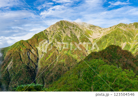 大倉尾根の富士見平から見上げる赤石岳 南アルプス赤石岳登山 大倉尾根の富士見平から見上げる赤石岳 南アルプス赤石岳登山 123504546