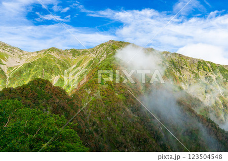 大倉尾根の富士見平から見上げる小赤石岳　南アルプス赤石岳登山 123504548