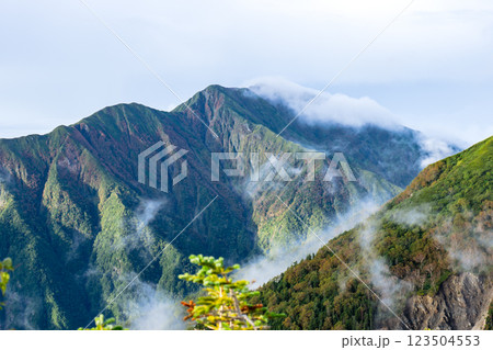 大倉尾根の富士見平から見上げる雲海の聖岳（奥聖岳）　南アルプス赤石岳登山 123504553