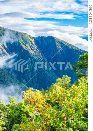 大倉尾根の富士見平から見上げる千枚岳　南アルプス赤石岳登山 123504560