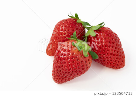 白バックのいちご 123504713