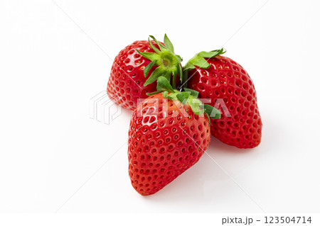白バックのいちご 123504714
