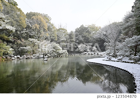 神苑の池と吹雪の絶景（平安神宮） 123504870