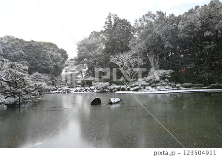 神苑の池と吹雪の絶景(平安神宮) 神苑の池と吹雪の絶景(平安神宮) 123504911