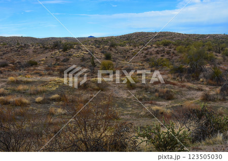 Salt River Recreation Area Arizona 123505030
