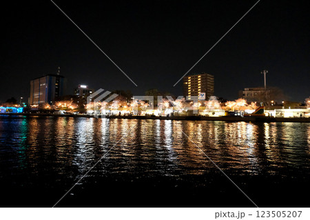 愛知県岡崎市_乙川河川敷2(夜景)_2024年4月 愛知県岡崎市_乙川河川敷2(夜景)_2024年4月 123505207
