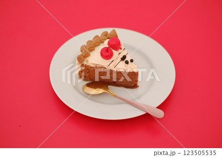 piece of chocolate cake on a plate piece of chocolate cake on a plate 123505535