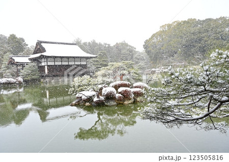 東神苑と雪景色の木々(平安神宮) 東神苑と雪景色の木々(平安神宮) 123505816