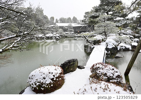 神苑と雪景色の木々（平安神宮） 123505829