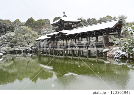 泰平閣と雪景色（平安神宮） 123505945