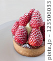 苺タルト、イチゴのスイーツイメージ素材 123506033
