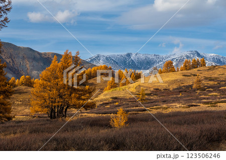 Autumn landscape with trees and snowy mountains under a cloudy sky 123506246