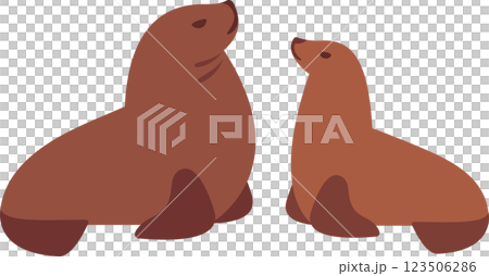 Cartoon sea lion drawing Cartoon sea lion drawing 123506286