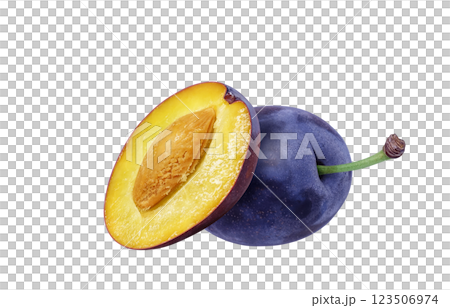 Prune illustration realistic 123506974