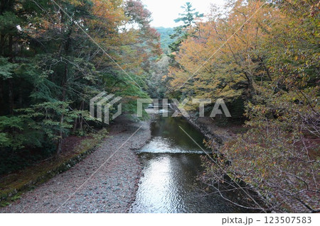お伊勢参り、伊勢神宮内宮の五十鈴川 お伊勢参り、伊勢神宮内宮の五十鈴川 123507583