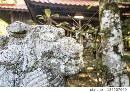 島根・鹿足・吉賀・八幡宮 島根・鹿足・吉賀・八幡宮 123507669