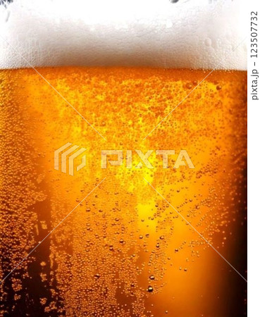 グラスに注がれた生ビール 123507732