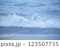 打ち寄せる波 123507735