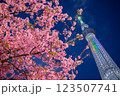 スカイツリーと桜のある風景 123507741