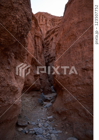 Narrow path inside the canyon 123507752