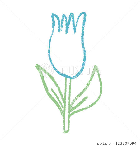 Tulip flower crayon drawn. Spring crocus plant doodle isolated on white background. Summer floral kids element. Chalk or pastel style childish scrawl nature shape. Vector naive illustration by pencil Tulip flower crayon drawn. Spring crocus plant doodle isolated on white background. Summer floral kids element. Chalk or pastel style childish scrawl nature shape. Vector naive illustration by pencil 123507994