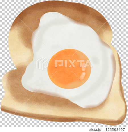 fried egg on a bread 123508497