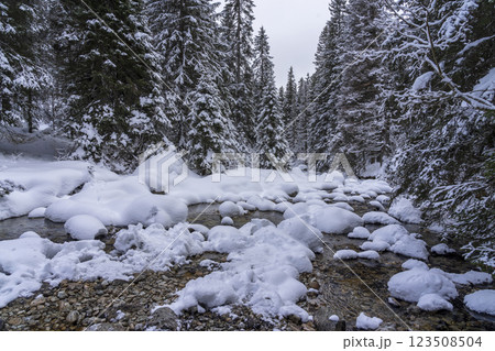 Mountain stream in winter. High Tatras. Slovakia. Mountain stream in winter. High Tatras. Slovakia. 123508504