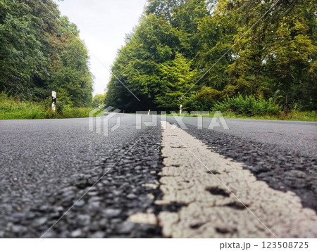 Road close-up in summer forest 123508725