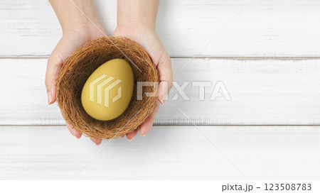 Golden Egg in a Nest Held by Hands Representing Investment and Financial Security Golden Egg in a Nest Held by Hands Representing Investment and Financial Security 123508783