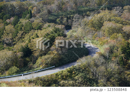 紅葉する峠道を蛇行する道路 紅葉する峠道を蛇行する道路 123508848