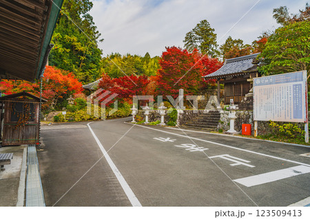 袋井市にある可睡斎と紅葉の風景(静岡県) 袋井市にある可睡斎と紅葉の風景(静岡県) 123509413