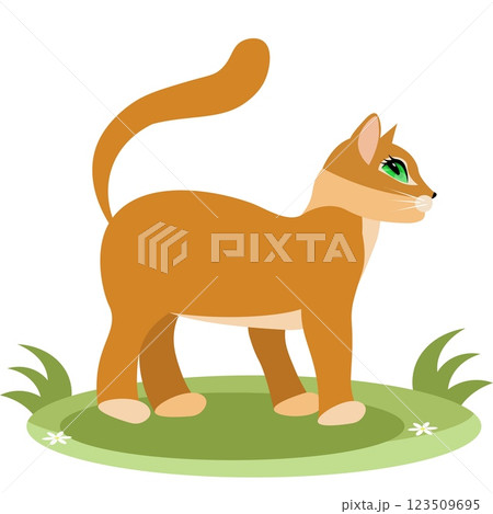 Cute animals. Vector cats. A ginger kitten is standing on the grass. Vector animals collection. Children flat vector illustrations. 123509695