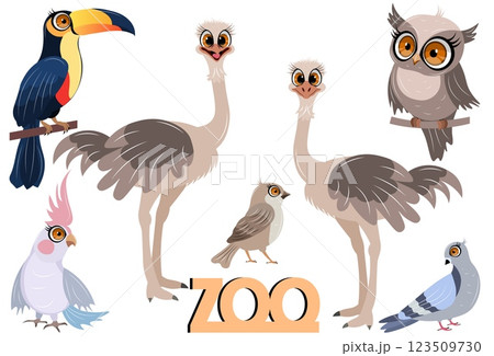 Cute zoo. Vector birds. Set of ostrich, parrot, toucan, sparrow, dove and owl. Vector animals collection. Children's flat vector illustrations. Cute zoo. Vector birds. Set of ostrich, parrot, toucan, sparrow, dove and owl. Vector animals collection. Children's flat vector illustrations. 123509730